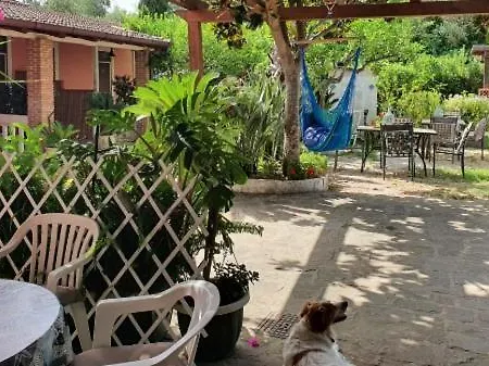 La Capannina Cilento Cam N 8