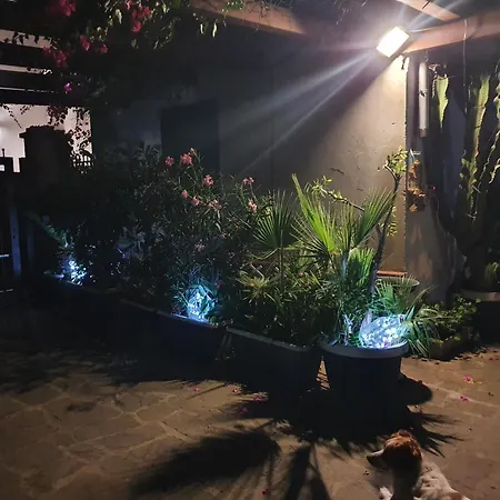 La Capannina Cilento Cam N 8