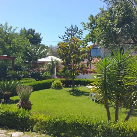 La Capannina Cilento Cam N 8 San Marco di Castellabate