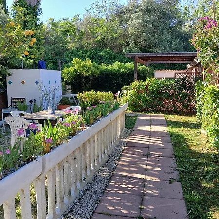 La Capannina Cilento Cam N 8 ゲストハウス San Marco di Castellabate